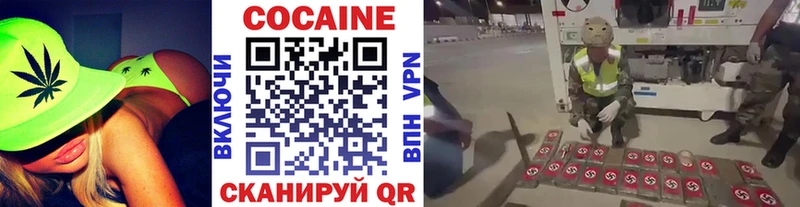 Купить закладки  Ельня  COCAIN FishScale 